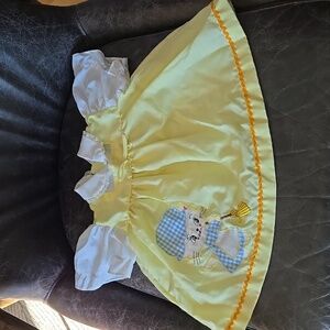 Vintage Celanese Fortrel Gingham Cat With Broom Dress 70s Lace Trim Collar